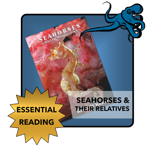 Seahorses & their relatives